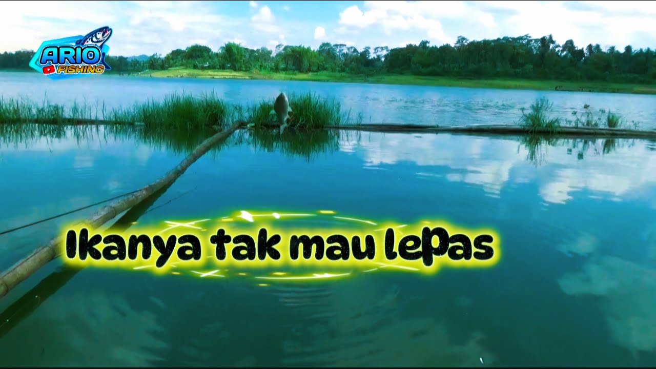 Lapak Sukowilangun Kalipare‼️ Waduk Karangkates Malang Jawa Timur Indonesia