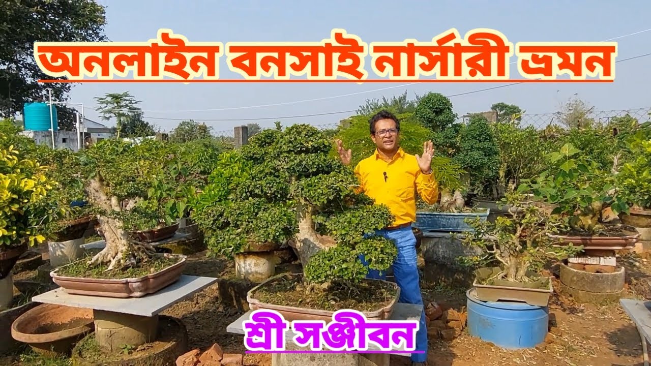 অনলাইন বনসাই নার্সারি ভ্রমন||Online Bonsai Nursery Tour||Shree Sanjiban||