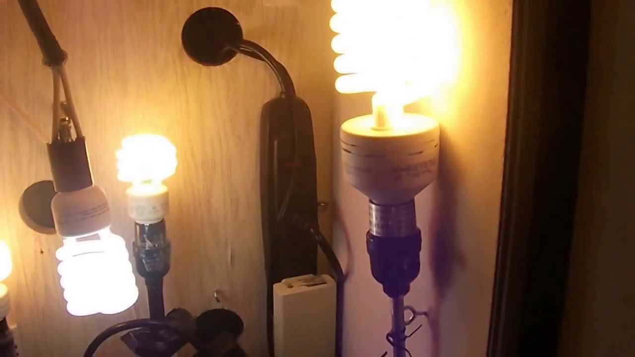 Homemade closet grow box. BubblePonics