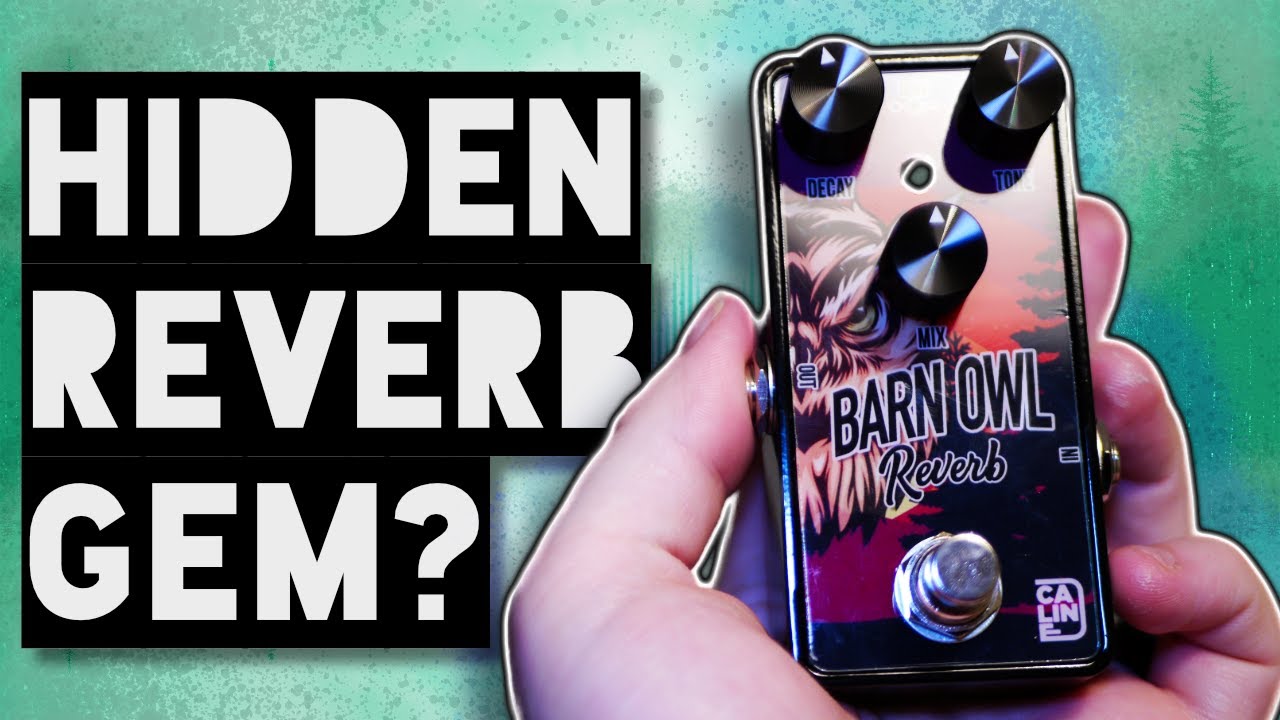 Caline Barn Owl Reverb  - The MOST lush Budget verb?