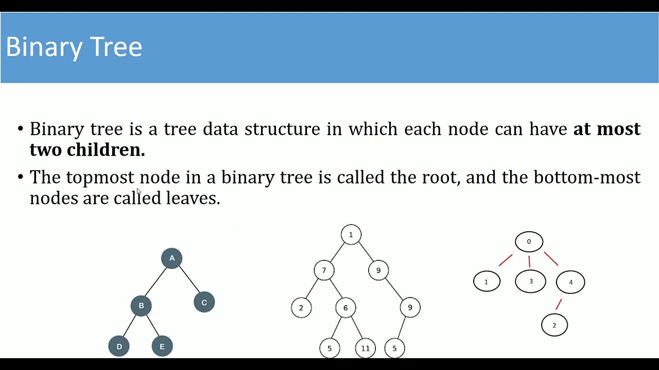 Array Representation of Binary Tree (Bangla)