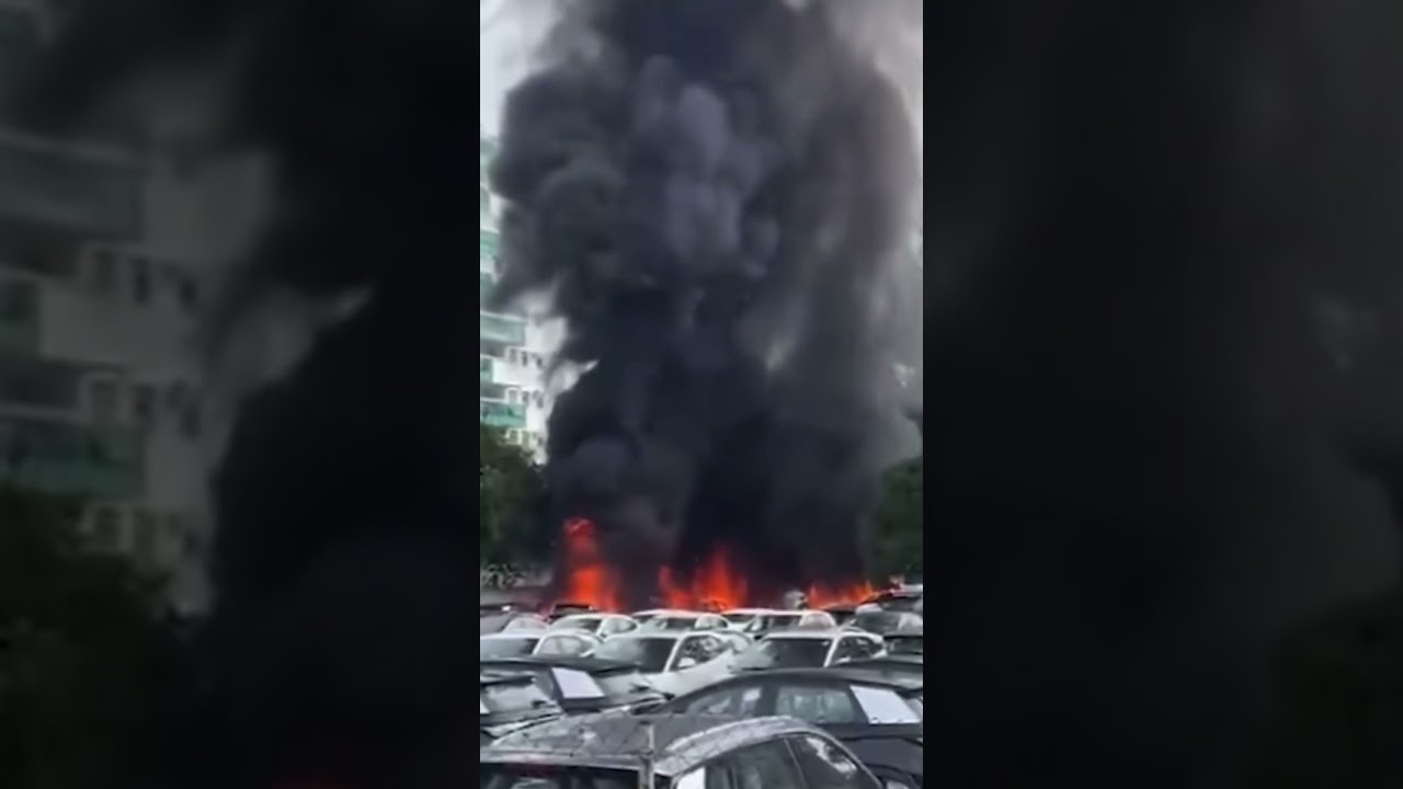 Oliver tree helicopter tragedy aftermath