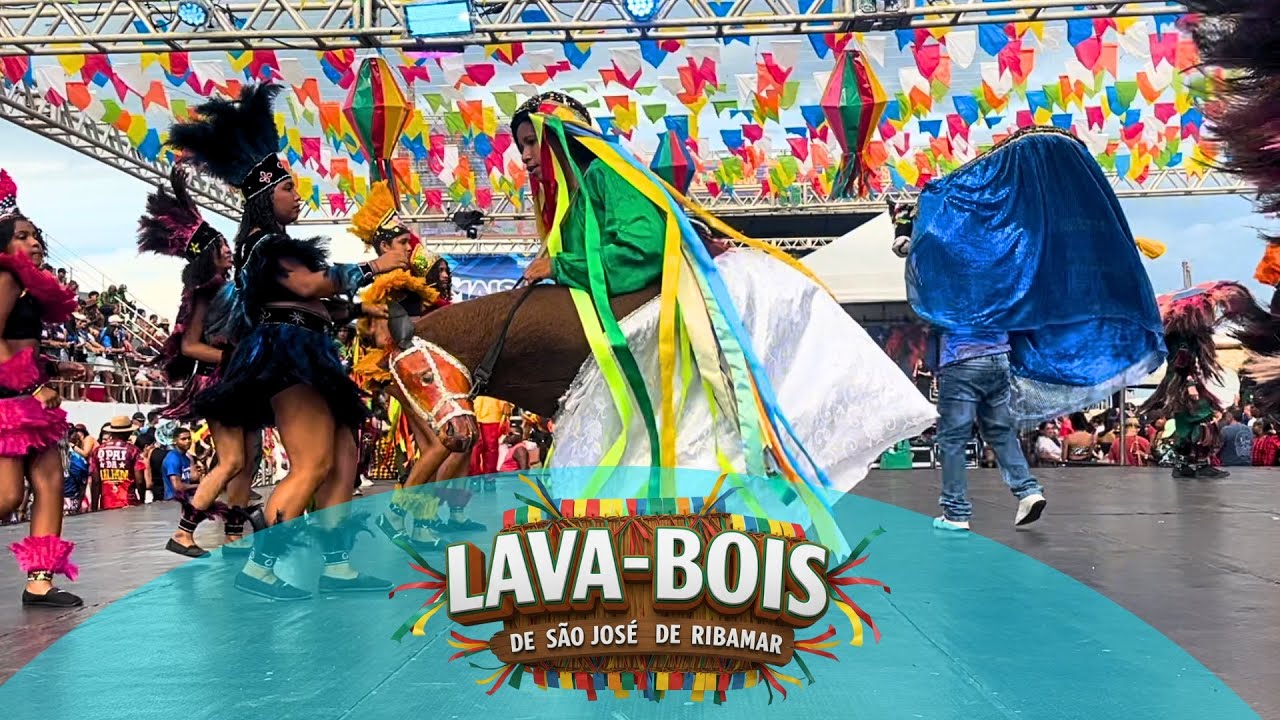 LAVA-BOIS DE SÃO JOSÉ DE RIBAMAR ✨ 2025 (parte2)