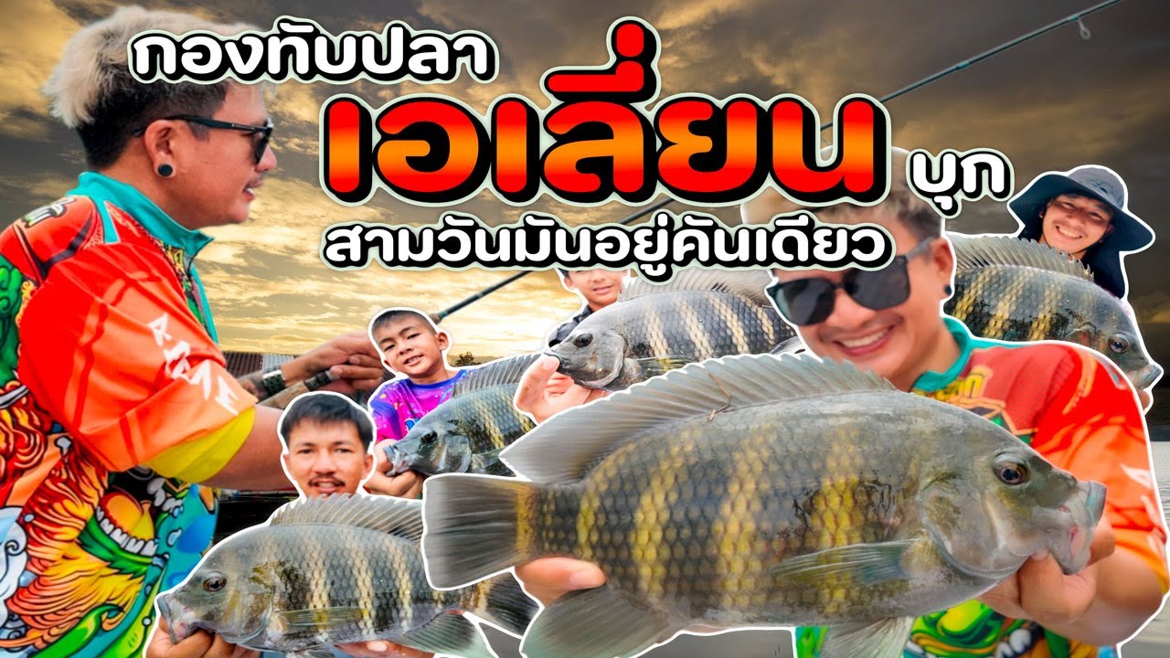 กองทัพปลา เอเลี่ยน บุก สามวันมันอยู่คันเดียว