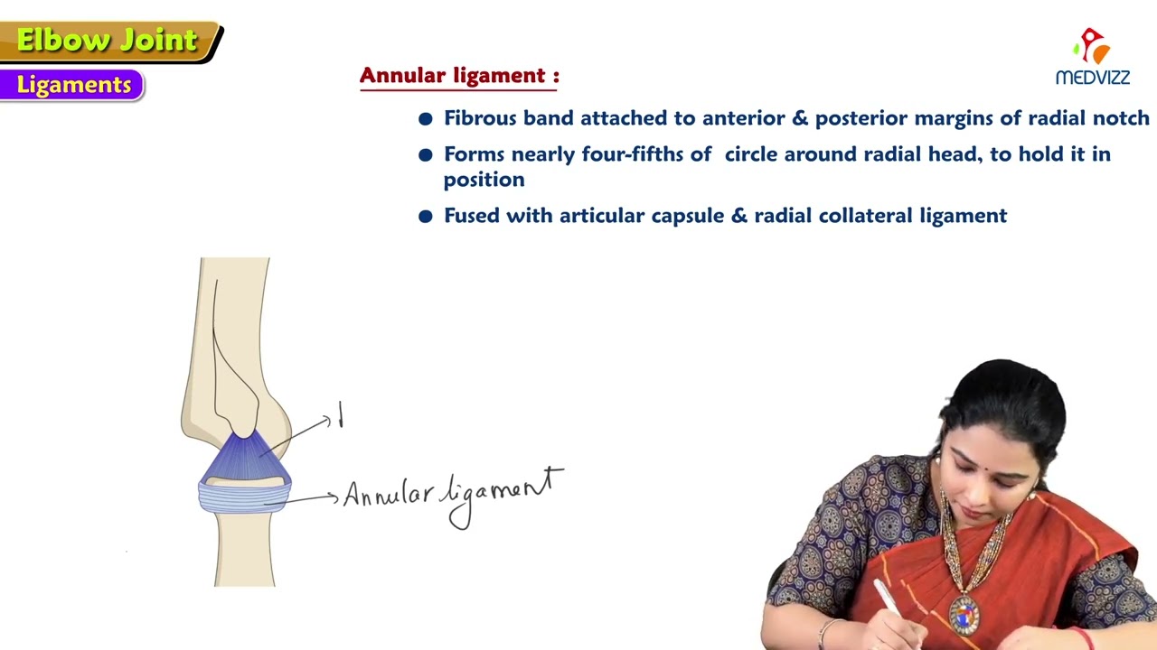 26. Elbow Joint Anatomy : MBBS Lecture