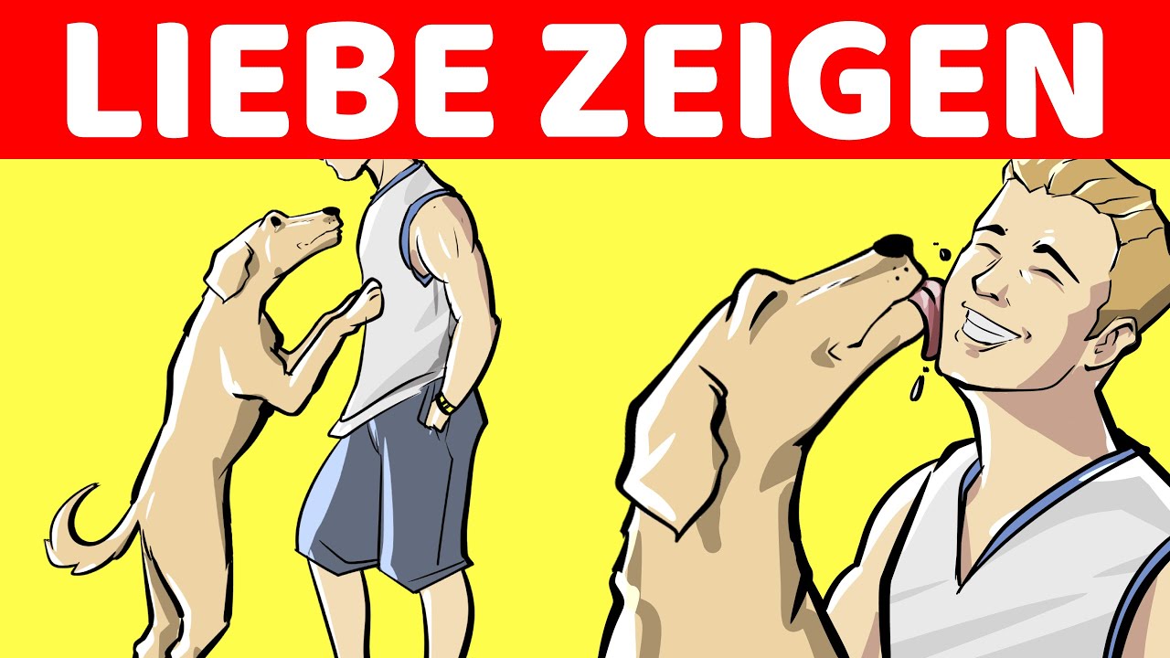 10 Wege, Wie Dein Hund Dir Seine Liebe Zeigt!