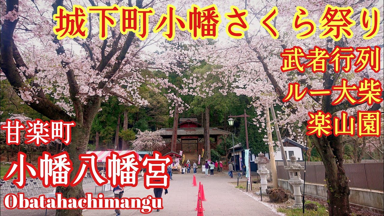 群馬 さくら舞散る城下町『小幡八幡宮と武者行列』ルー大柴参戦⁉️