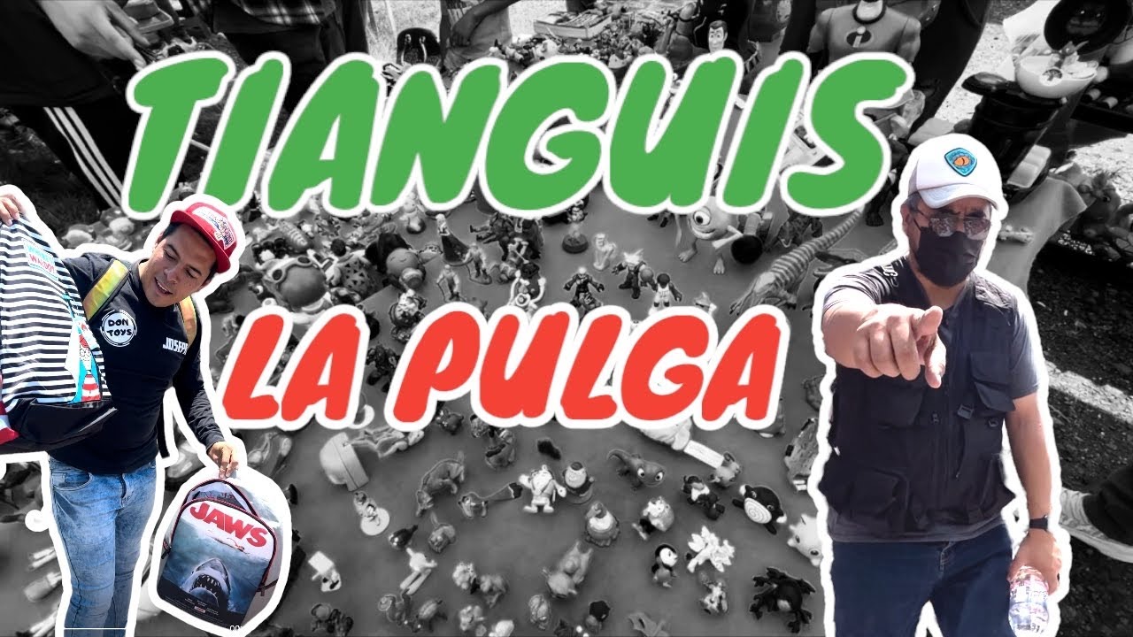 TIANGUIS LA PULGA, DINOSAURIOS, JUGUETES Y MÁS...