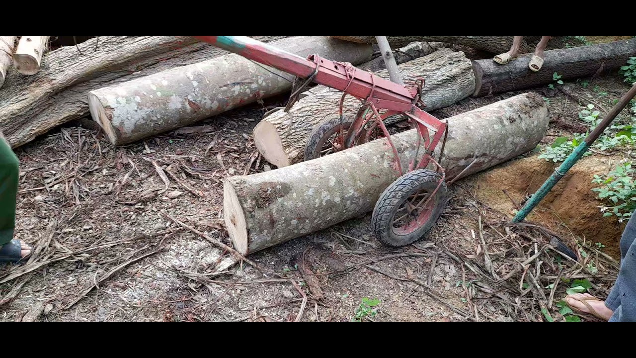 Xe gắp gỗ tự chế