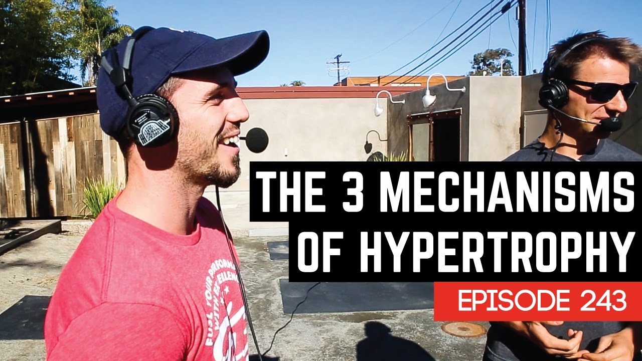 The 3 Mechanisms Of Hypertrophy - 243