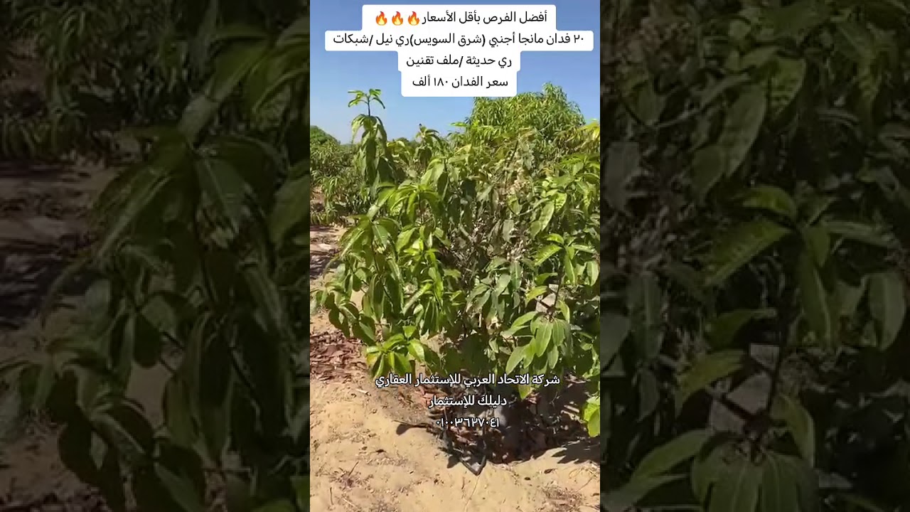 أفضل الفرص بأقل الأسعار مع شركة الإتحاد العربي للإستثمار العقاري دليلك للإستثمار 