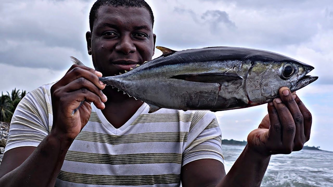 Insane Barracuda & Tuna Fishing – Ocean Mayhem