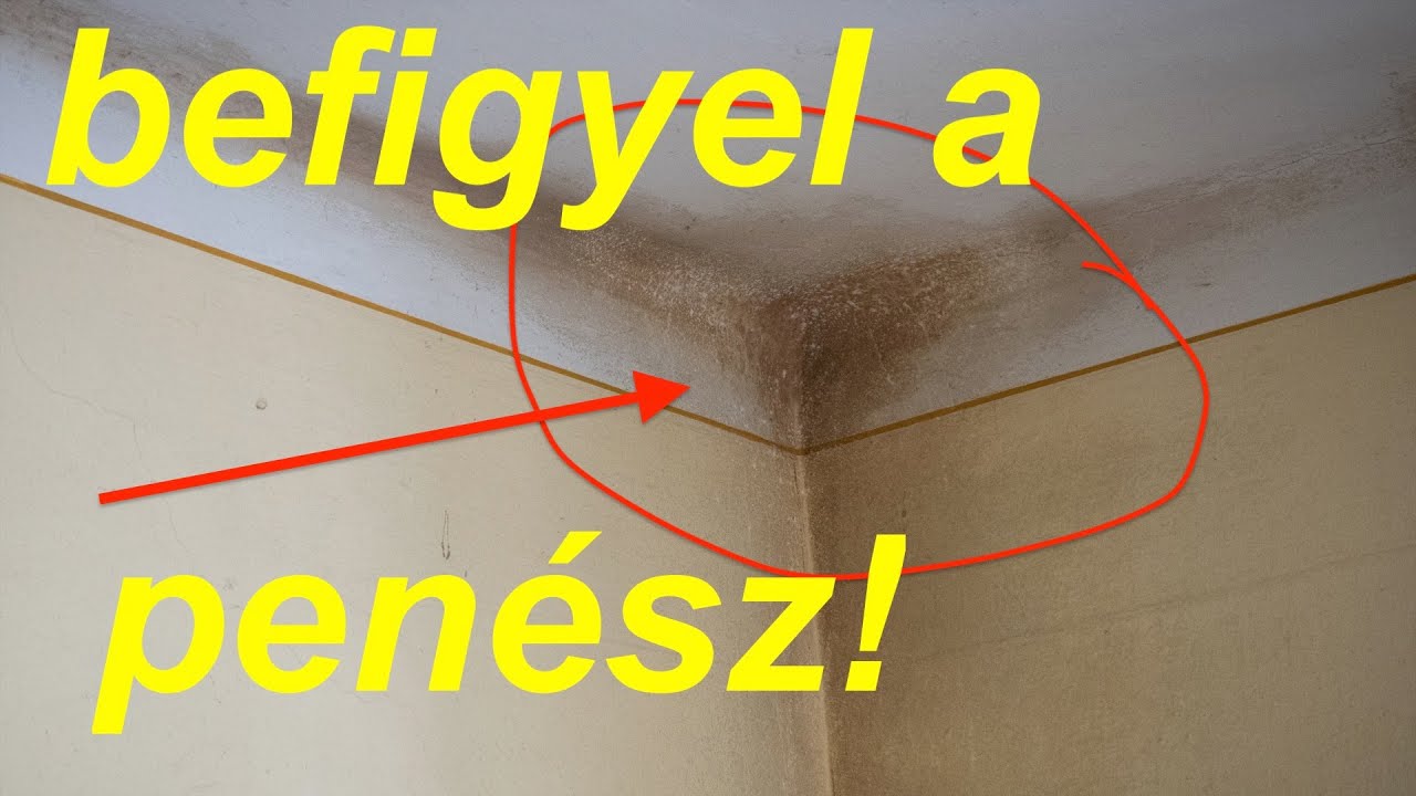A pen&eacute;sszel hogyan k&uuml;zdesz meg? Erőből nem fog menni!