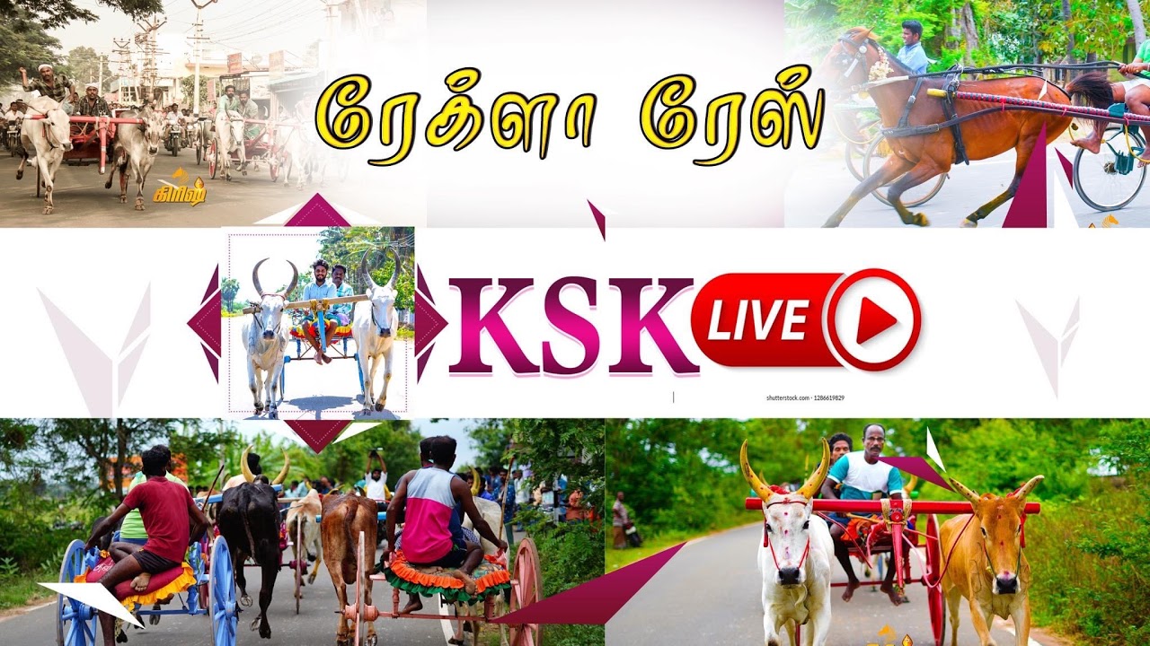 Panthayam live பந்தயம் நேரலை 's broadcast