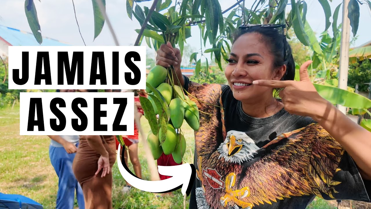 Tout est une question de bouffe !