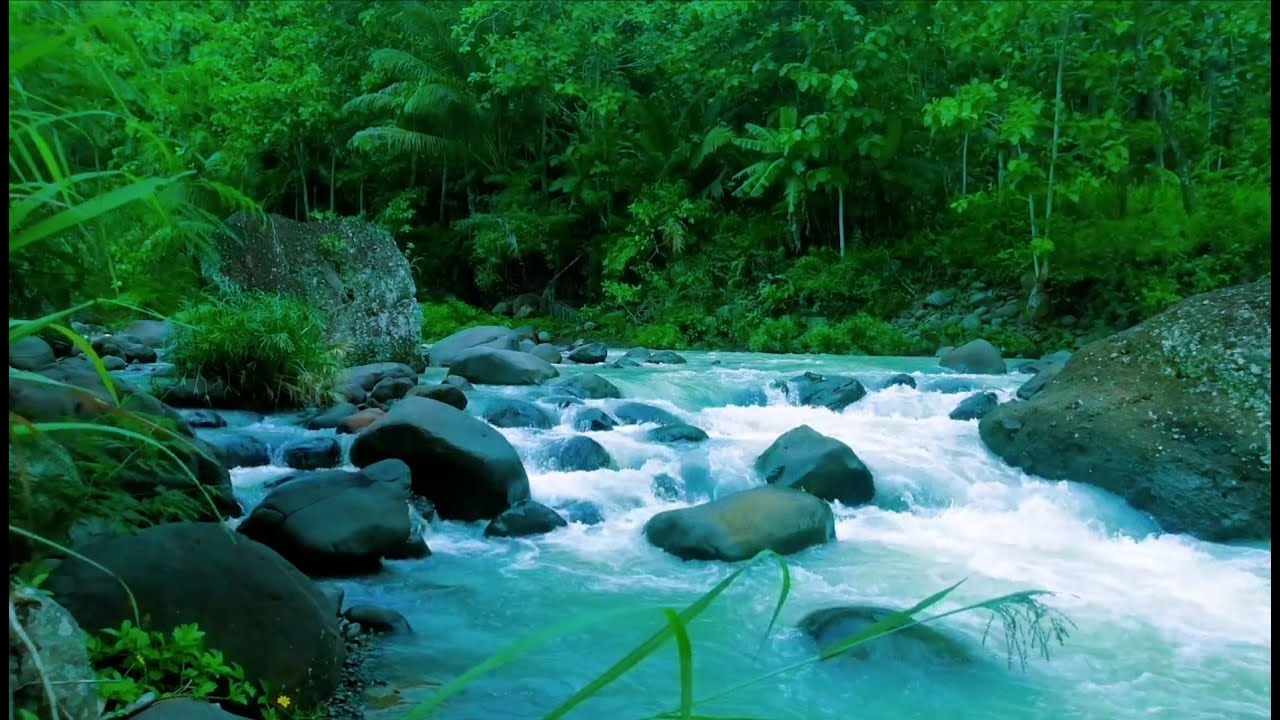 Tranquil River Ambience – Soft Stream and Forest Sounds for Deep Sleep and Inner Peace