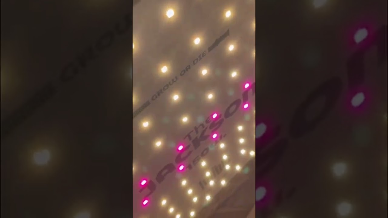 Led the jungle 150v