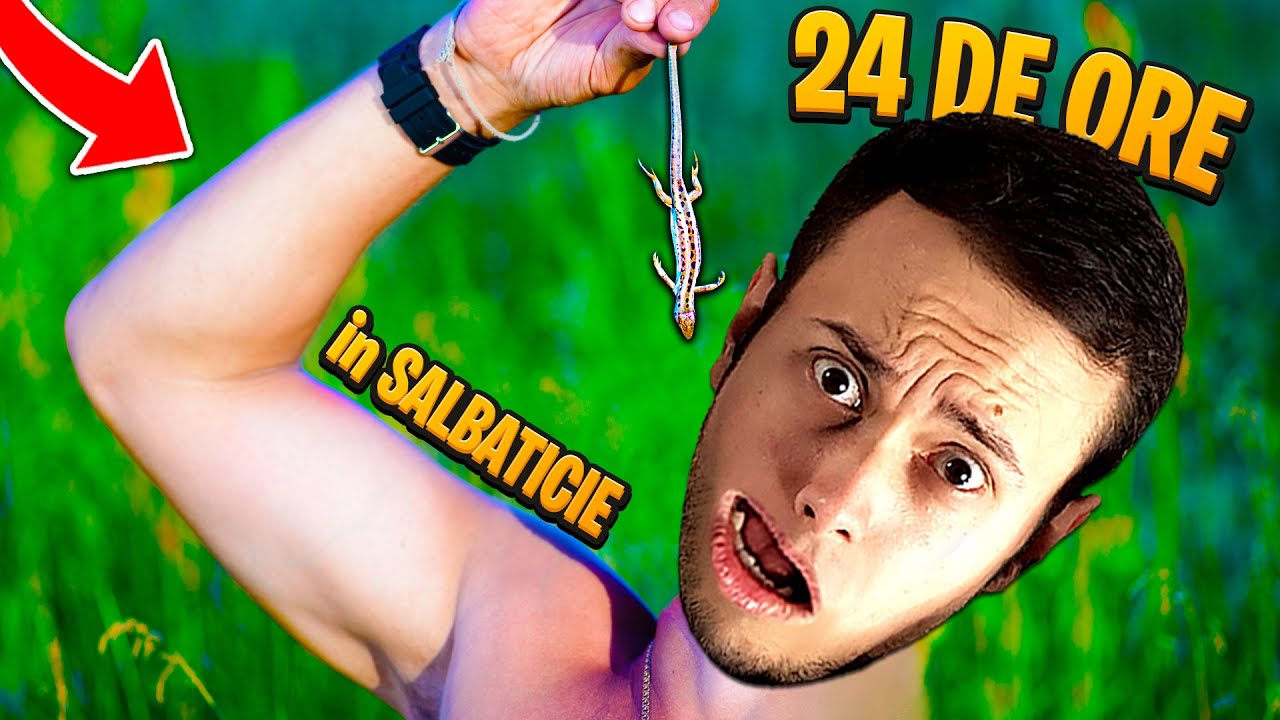 24 DE ORE in SALBATICIE, REUSIM ?