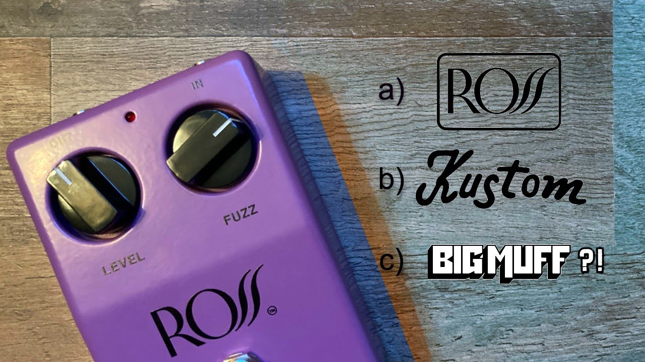 Ross Fuzz - Honest Review & Demo