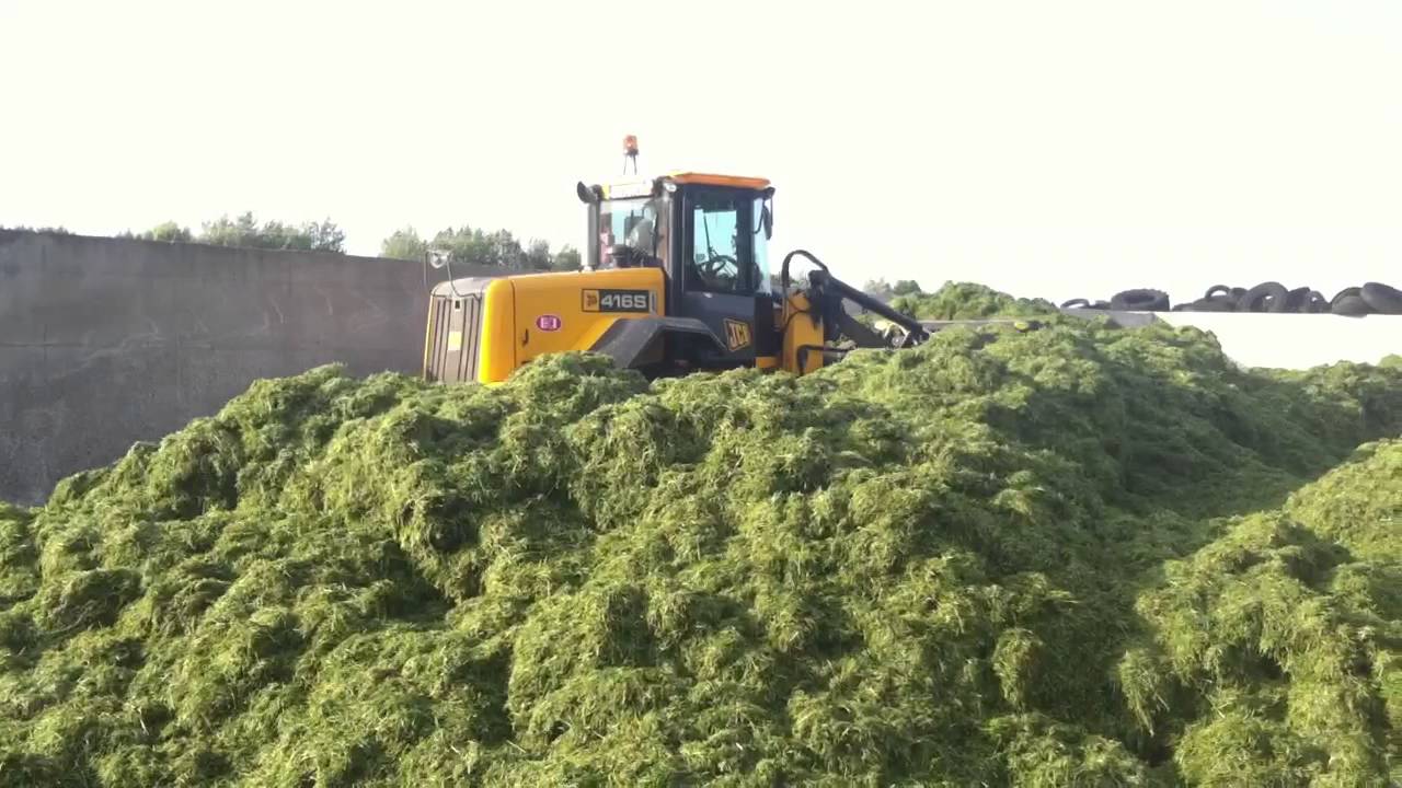 Silage