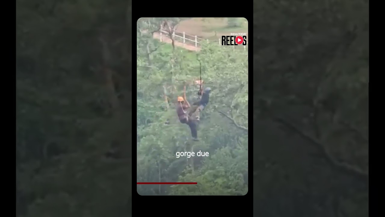VIRAL VIDEO |  Tourist Rescued After Getting Stranded on Zipline in Maharashtra's Toranmal