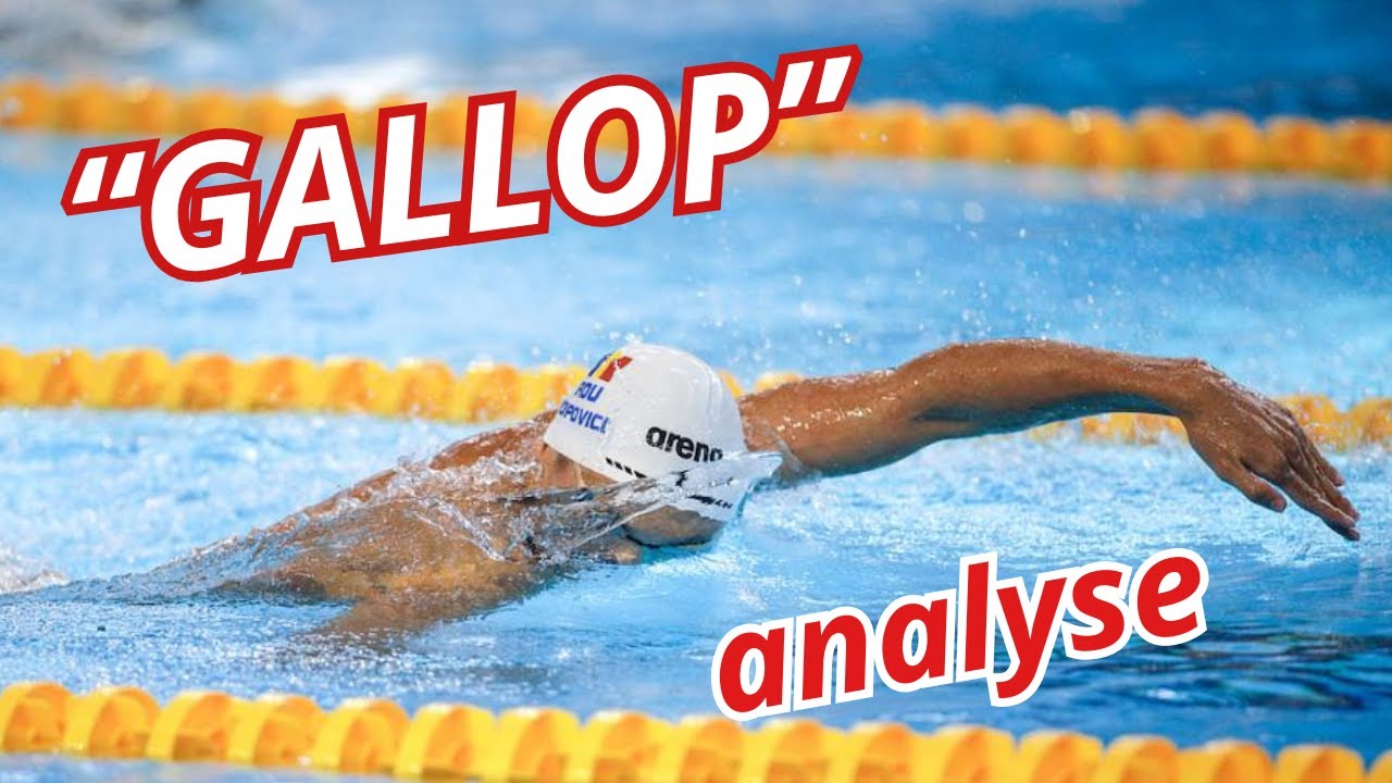 J’analyse le 