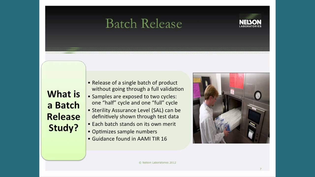 Ethylene Oxide Sterilization of Small or Infrequent Lots: Batch Release Method