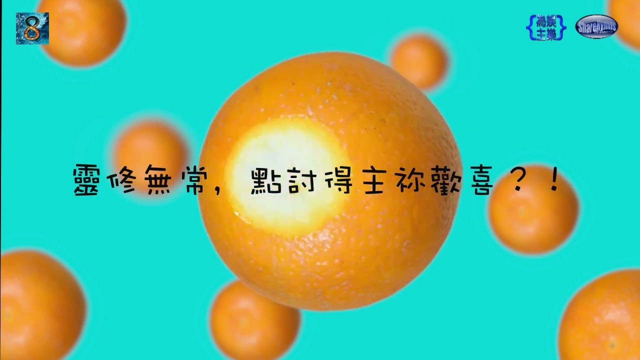MV DEMO 339 大條道理