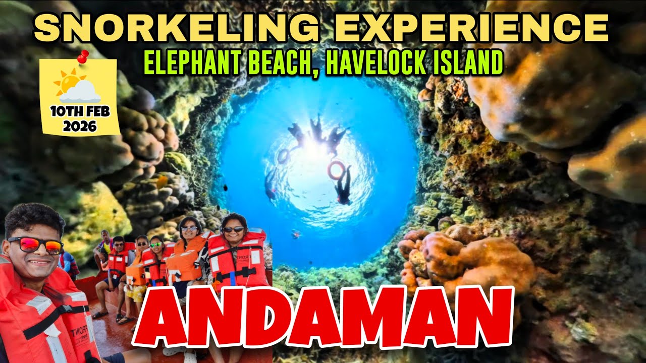 Taking My Parents Snorkeling in Andaman! (Wait for her reaction) - ZNMD Moment - 4K Video
