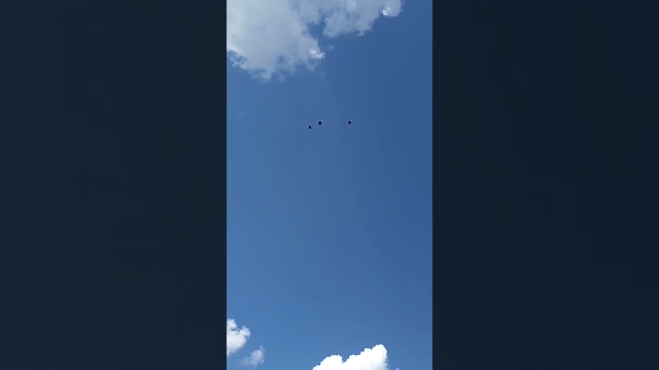 Голуби Руслана. Рязань. 