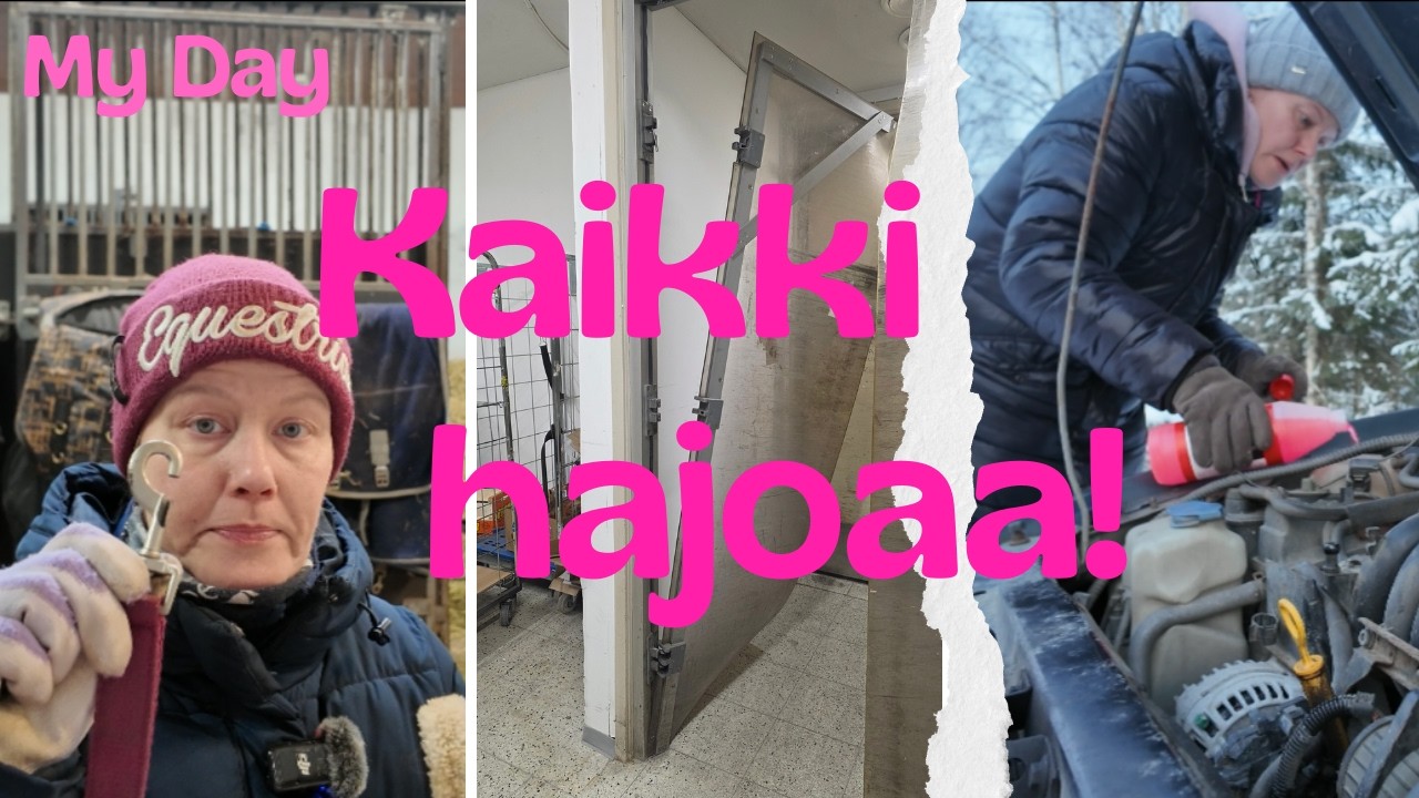 Kaikki hajoaa ja kaupan rymsteerausta || My Day 20.2.2026