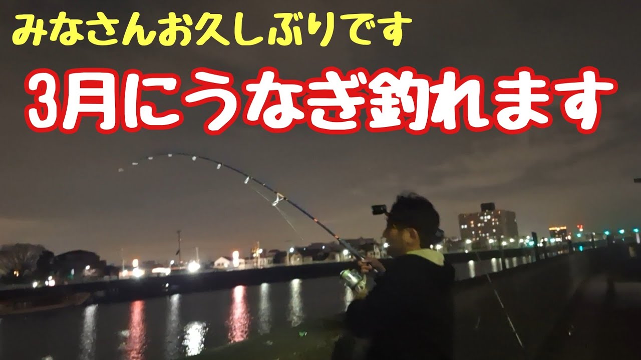うなぎの通り道を狙ってみたら…