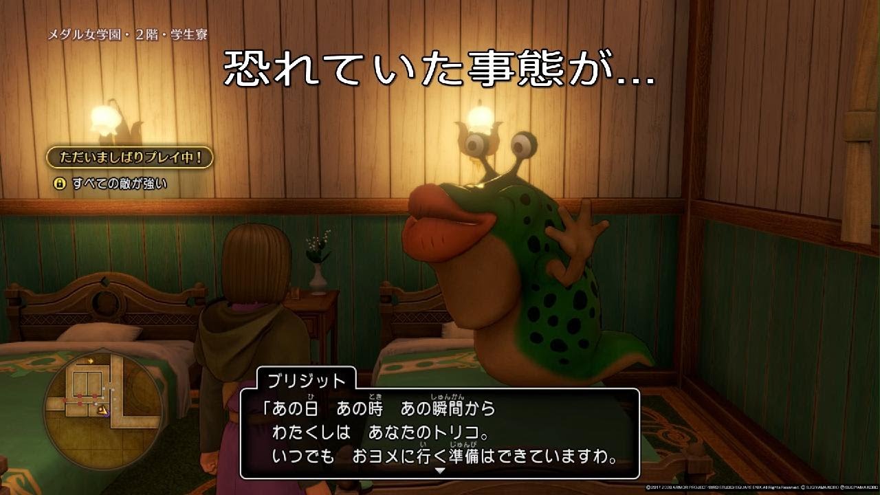 ＜録画版※声なし＞ドラゴンクエスト11 S 実況プレイ byせばす #18_19 裏作業報告 (サブクエスト)