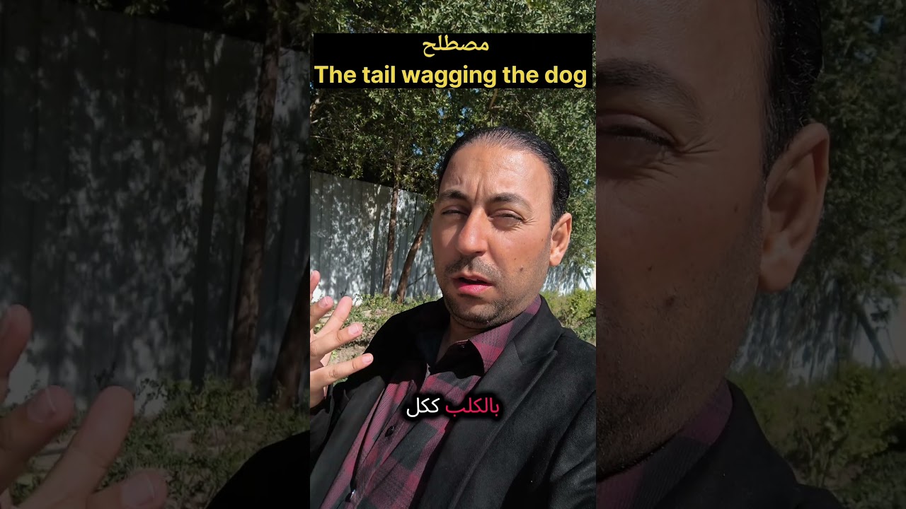 The tail wagging the dog #english_with_muhammad #easyenglisheveryday #انجليزي #learnenglish #reels