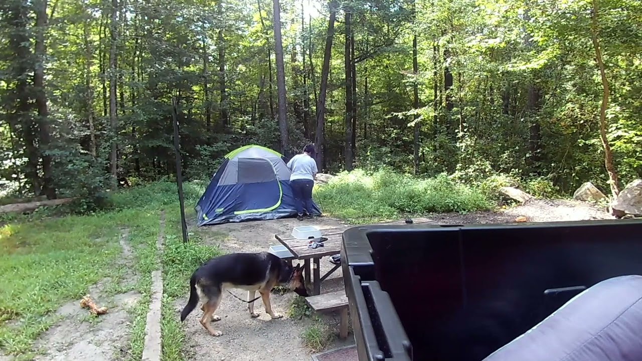 Camping  with dog by River