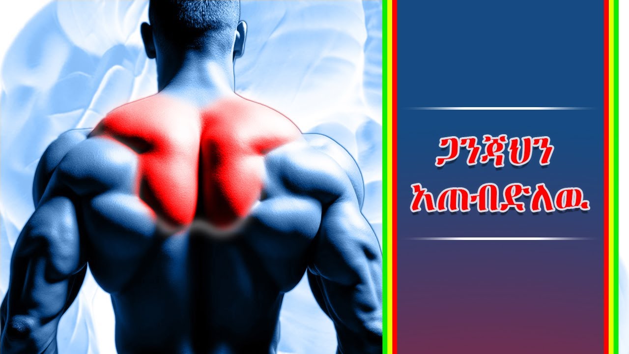 ማንጅራት በፍጥነት እንዴት ማደግ እንደሚቻል | how to grow you trapezius muscle fast \ body evolution