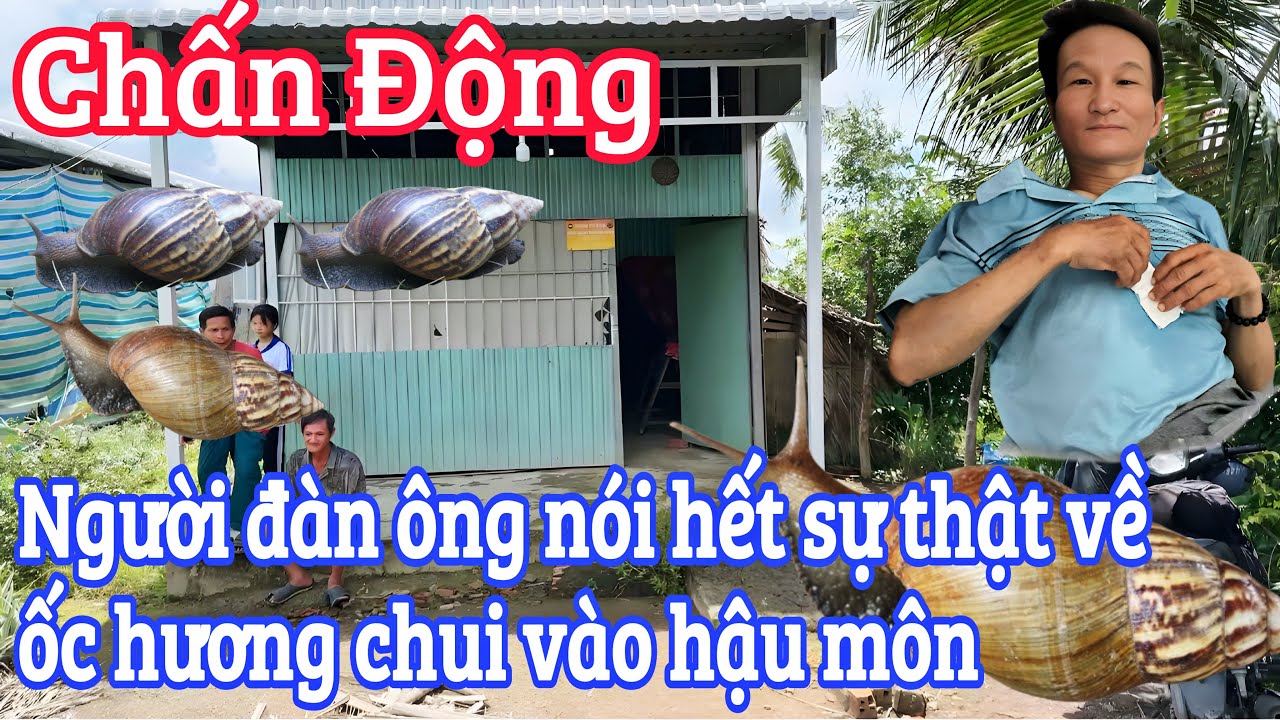 Ly kì - hy hữu ốc hương bò vào hậu môn người đàn ông 49t nói hết sự thật