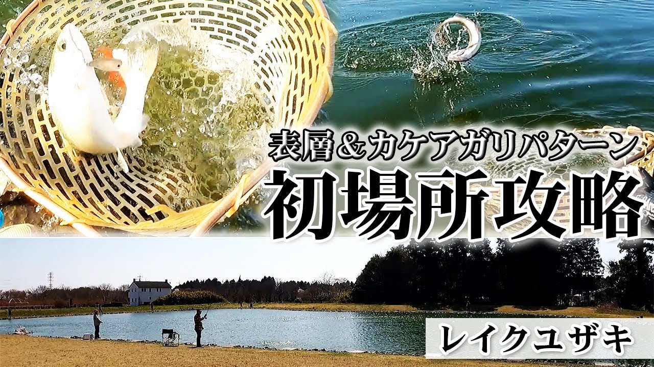 【春・友部湯崎湖・レイクユザキ】ディープCPによる表層＆カケアガリパターンで初場所攻略【今井康仁】