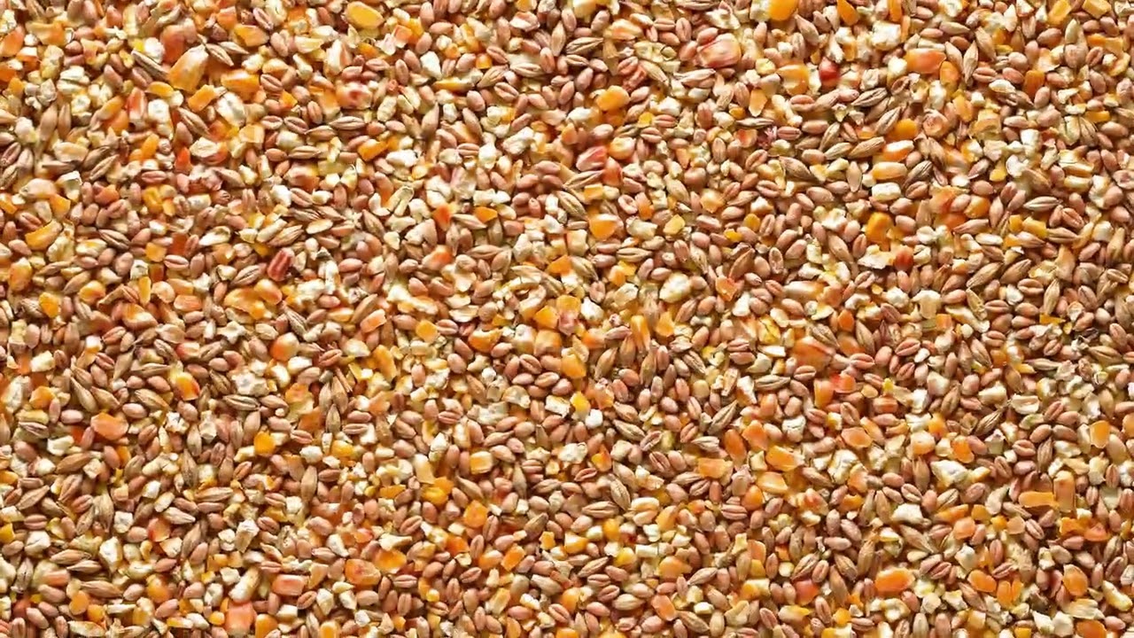 Agrarzone Hühnerfutter Müsli