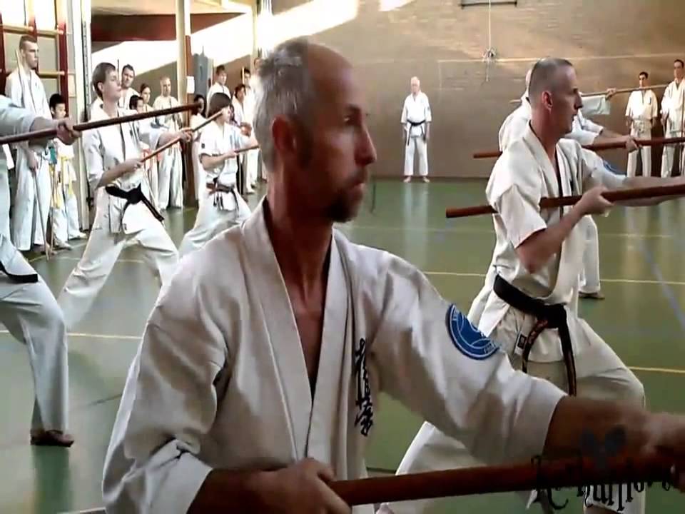 Cor Mol Bo Kata Training Ichi en Chion oktober 2010