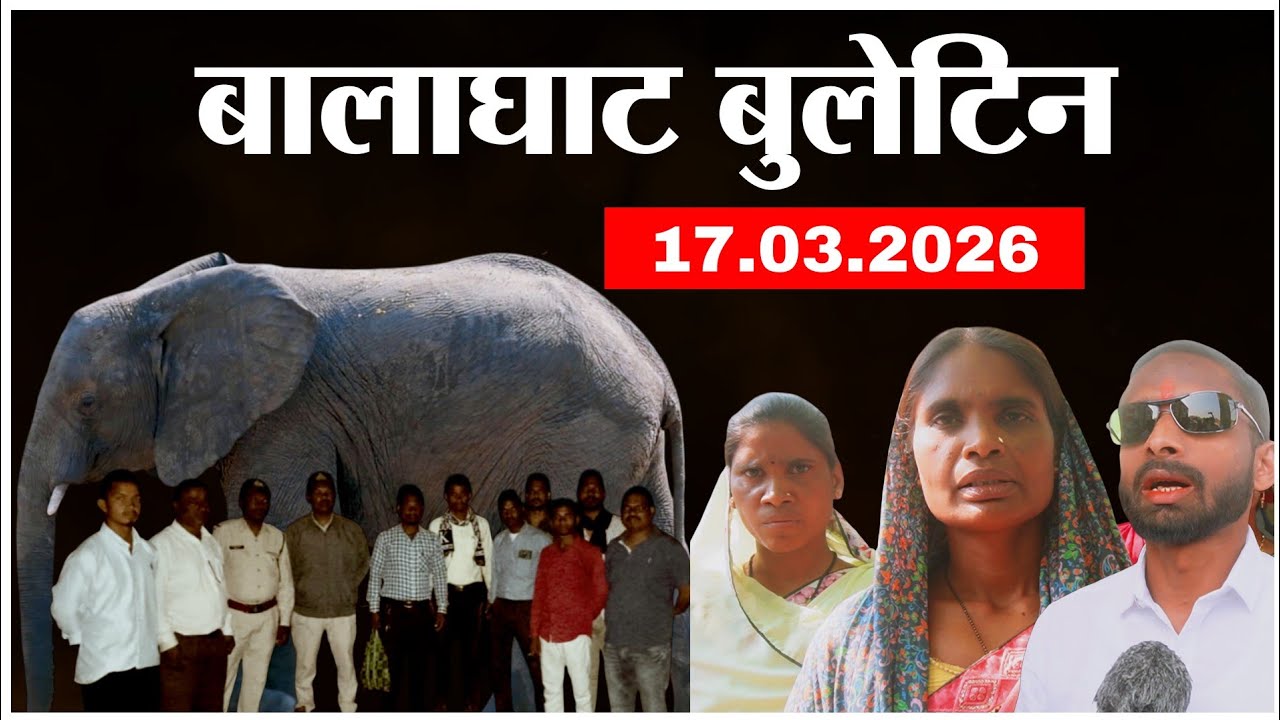 किरनापुर के जंगल में हाथी का खौफ !,महिलाओं के आरोप बनाम राजनीतिक साजिश? और गुंडागर्दी बर्दाश्त नहीं!