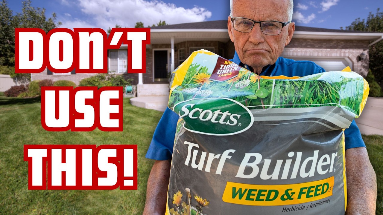 You Should NEVER Use Weed and Feed (Do THIS Instead!)
