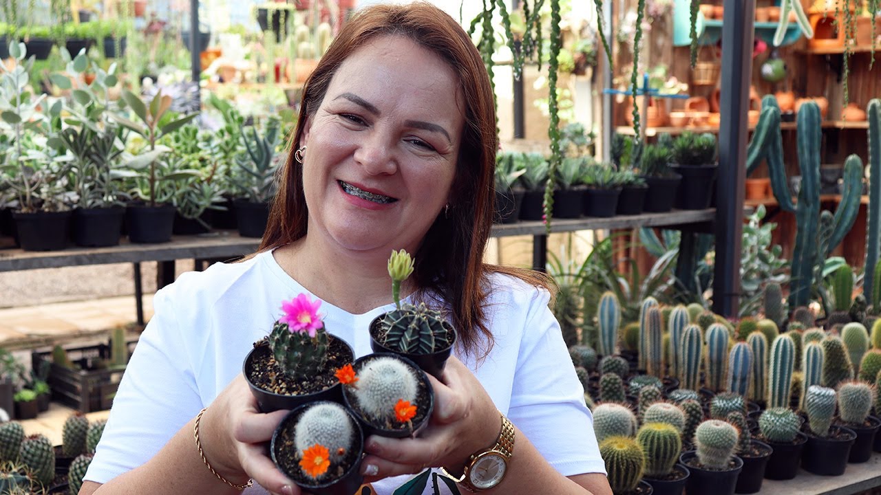 FAÇA ASSIM E SEUS CACTOS IRÃO ENCHER DE FLORES EM 