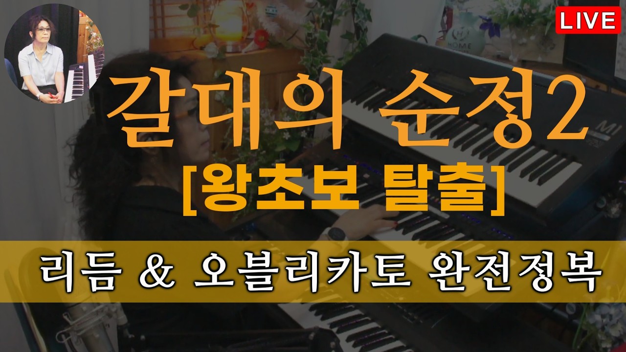 🔴LIVE 강의 34 오부리카토 리듬 갈대의 순정 완결편 [중급반] 전격 공개 #5070전자올겐 배우기 #제니쌤올겐교실