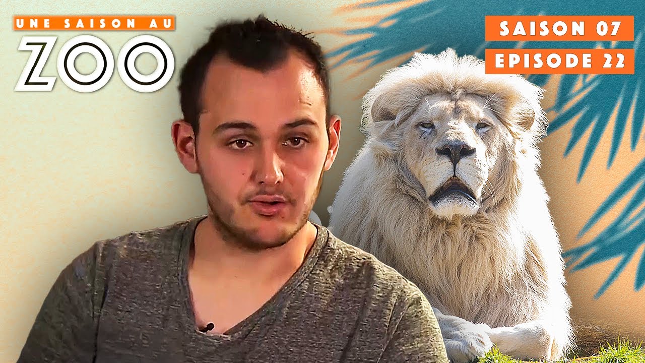 C'est l'Heure de la Sortie des Fauves ! | S07EP22 | Émission Intégrale | Une Saison Au Zoo