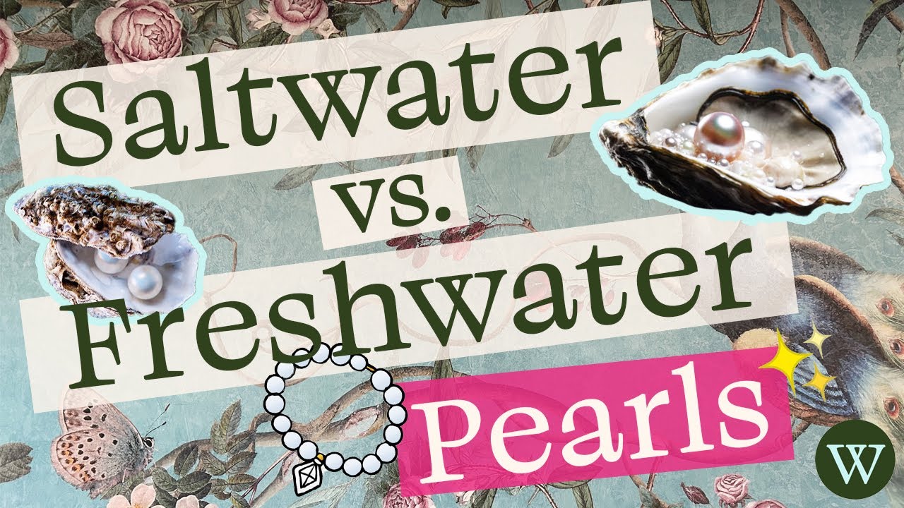 What are the Differences between Freshwater and Saltwater Cultured Pearls?