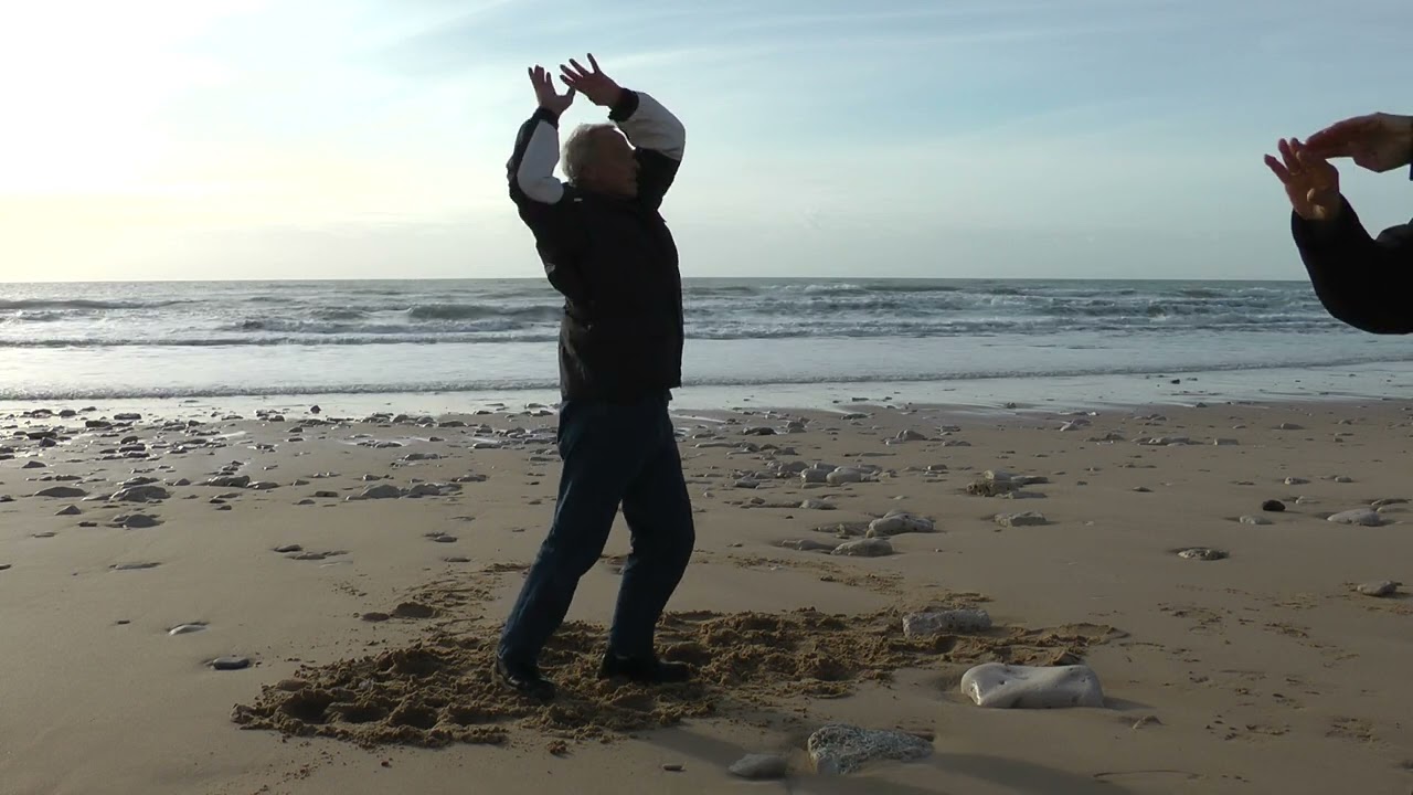 Qi gong des 7 dragons droite (Ile de Ré dec 2011)