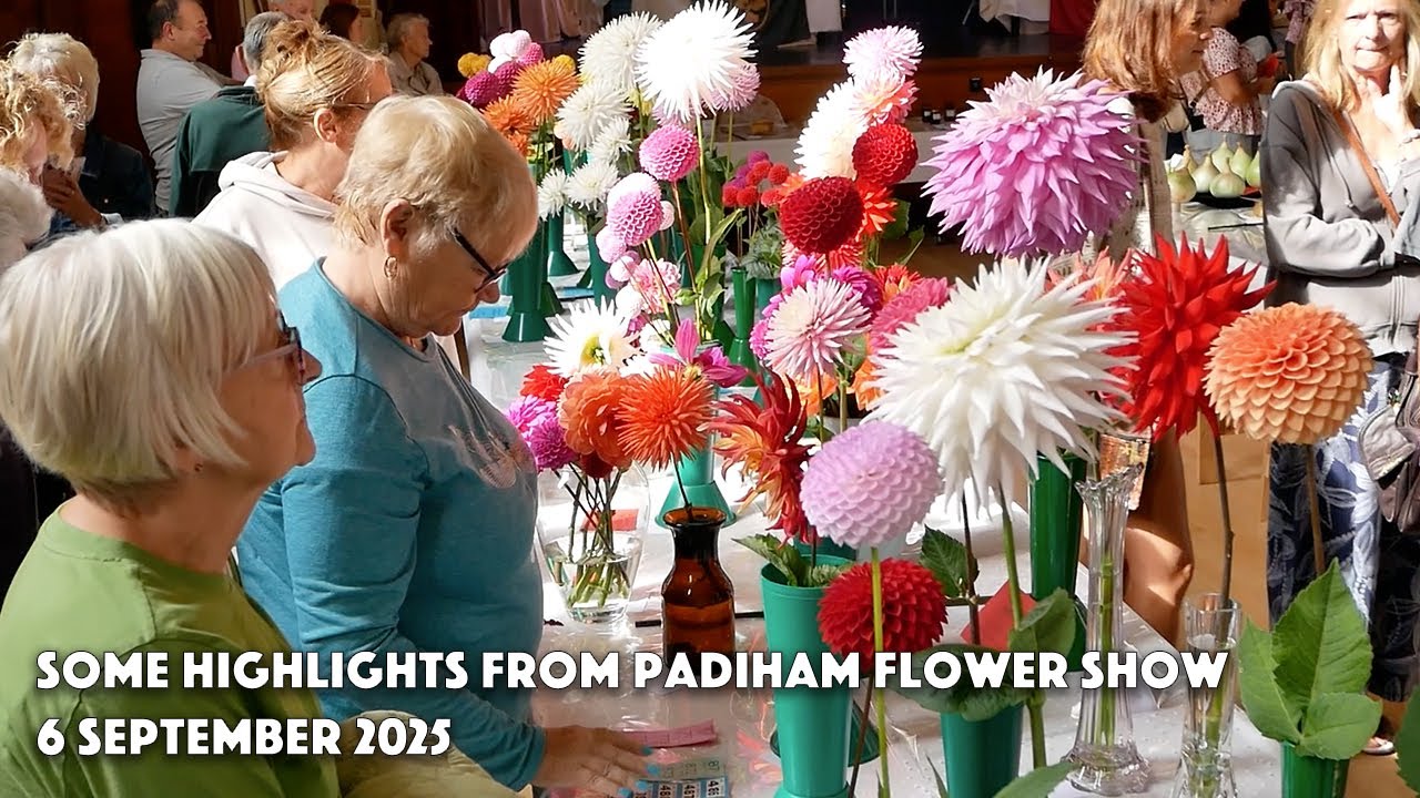 Padiham Flower Show Highlights 2025