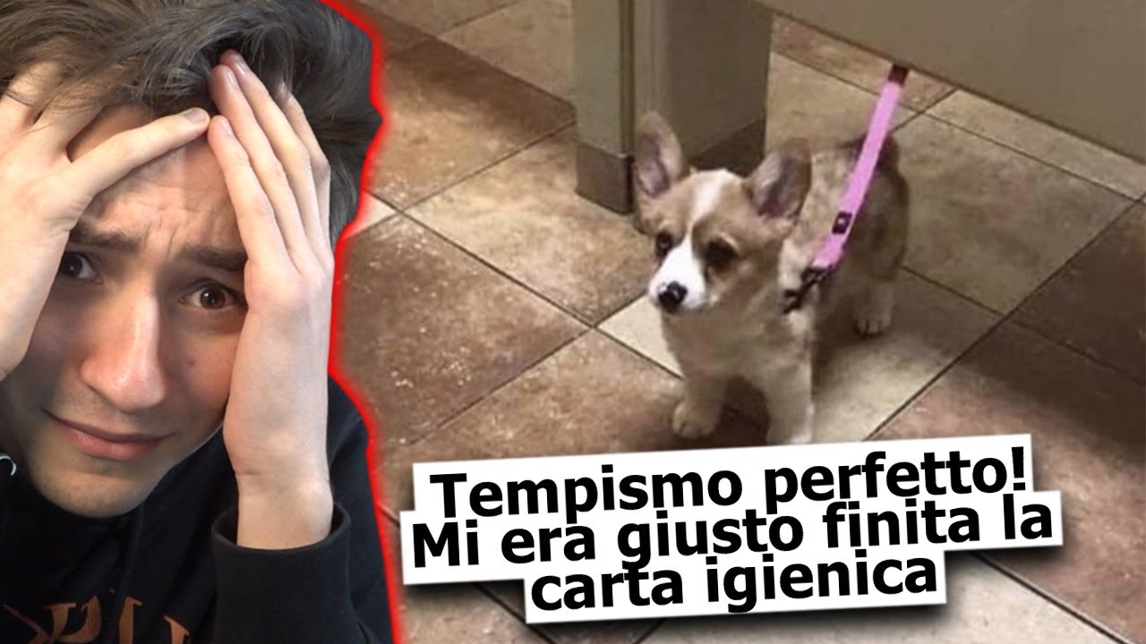 COMMENTI MALEDETTI Che Ti Lasceranno Senza Parole