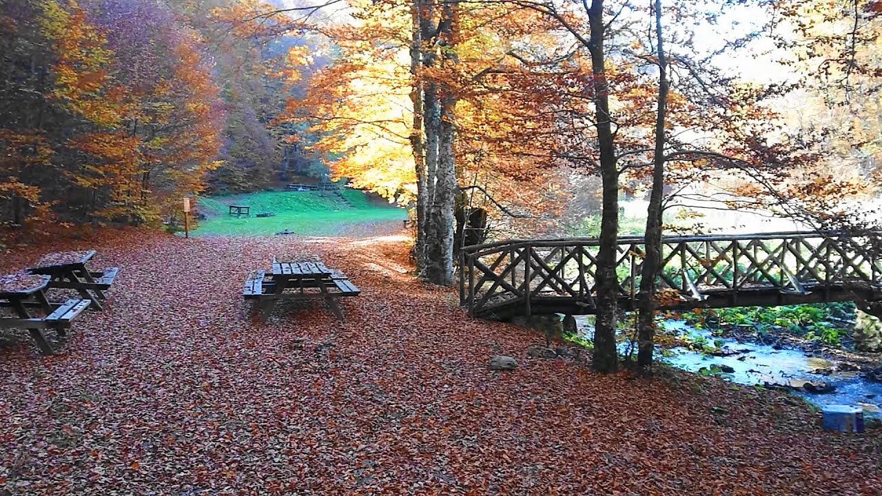 ΦΘΙΝΟΠΩΡΙΝΟ ΟΡΟΣ ΠΑΪΚΟ - ΜΟΝΟΠΑΤΙ ΣΤΡΑΒΟΠΟΤΑΜΟΥ (DRONE). AUTUMN MOUNT PAIKO, GREECE.